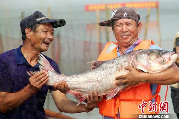 貴州茅臺收盤漲2.85% 股價逼近千元