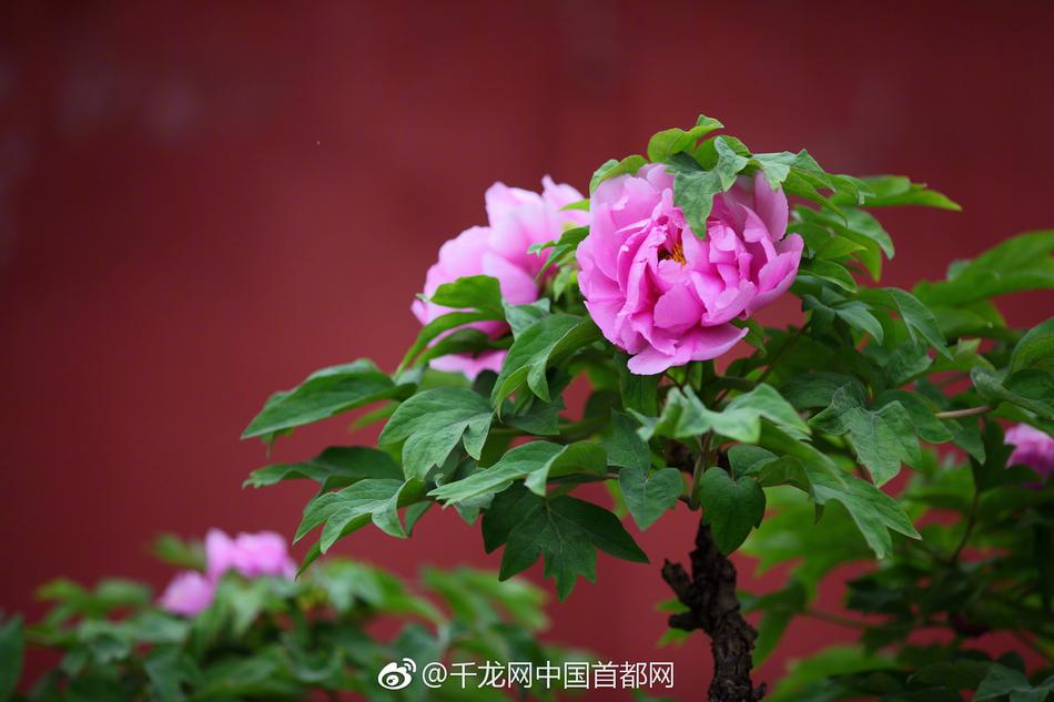 美大使挾雙航母之威喊話俄羅斯 莫斯科震怒：我能讓它變廢鐵
