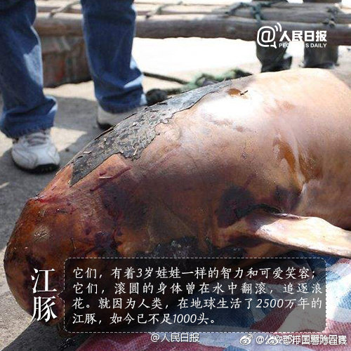 意甲-二弟嬌妻:伊卡爾迪愿留國米 要比斯帕萊蒂多50年