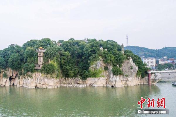 絢麗的叢林小精靈 高速抓拍飛翔中的蜂鳥