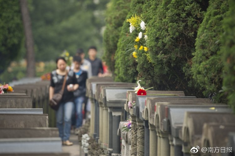 迷路老人接通老伴電話大哭:沒你沒法過