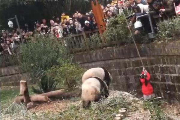 美阿帕奇直升機(jī)服役33年仍居榜首 中國武直差在哪