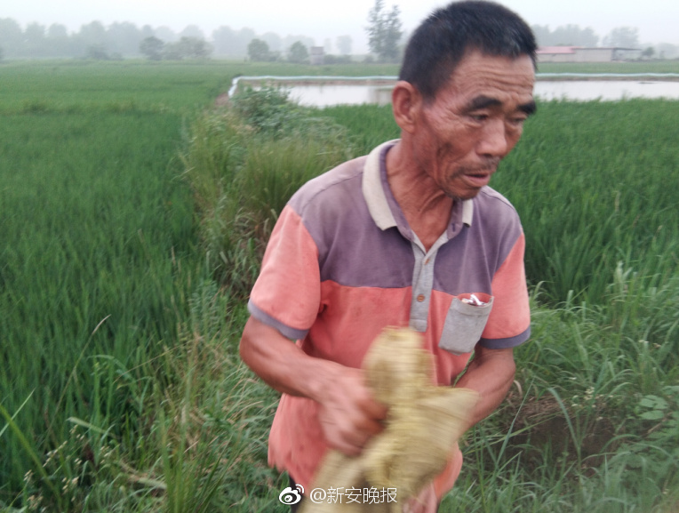 全面學習資料與你分享