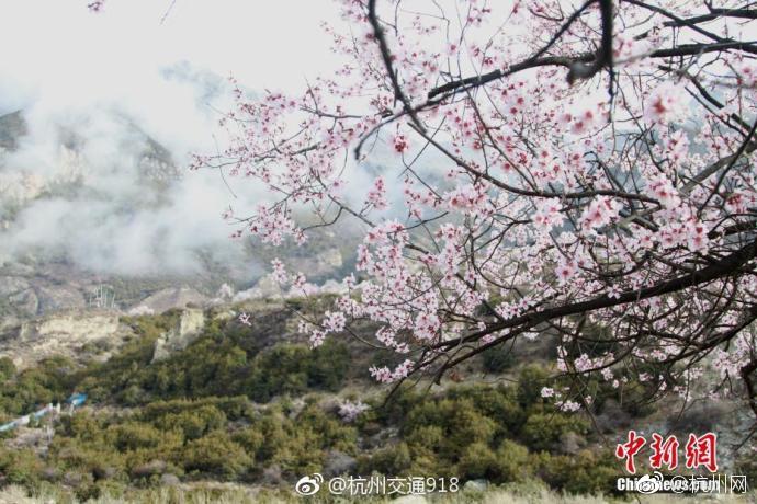 巴黎圣母院燒壞了，該怎么修？