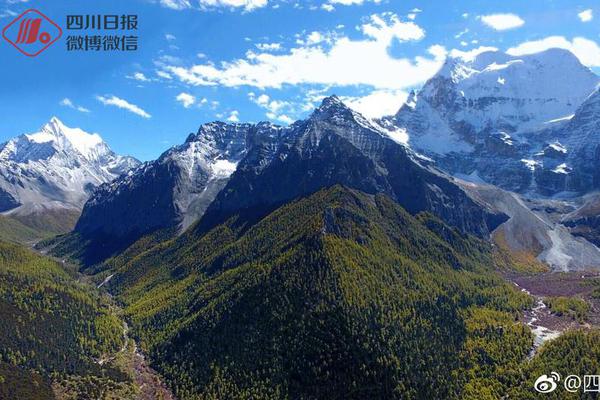 董明珠正式贏得與雷軍的
