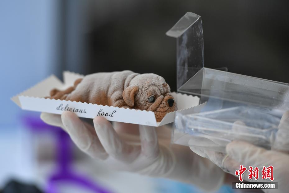 AI修復后的王祖賢林青霞美到讓人驚嘆