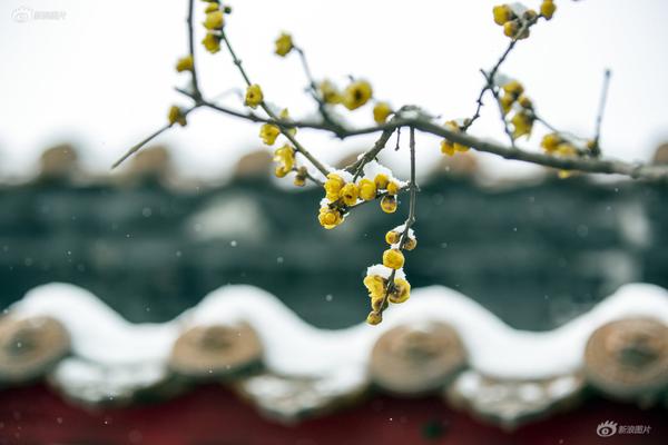 張鎬濂考入上戲安慰洪欣