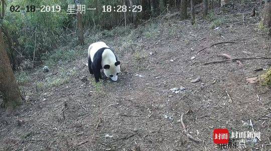 吳京談流浪地球盜版:砸創作者飯碗