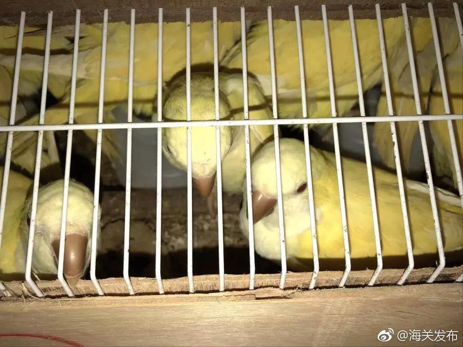 古代官員殉職為何要逼妻妾先上吊