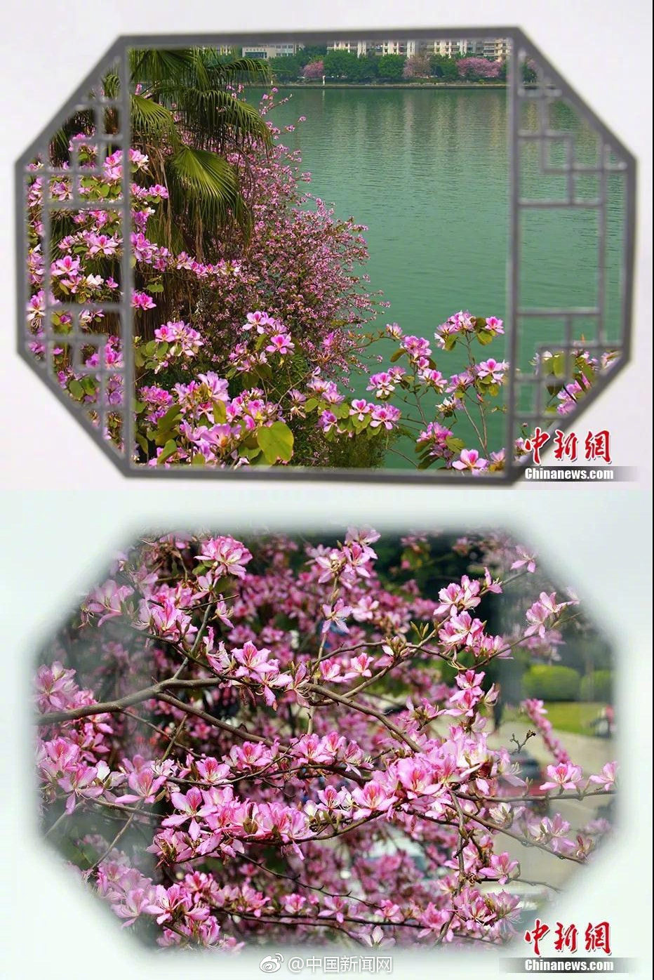 北京發(fā)布大風(fēng)藍警 陣風(fēng)8級有揚沙