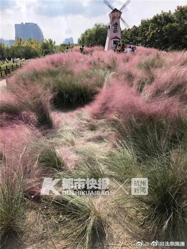 求職受騙高發留學生防上當