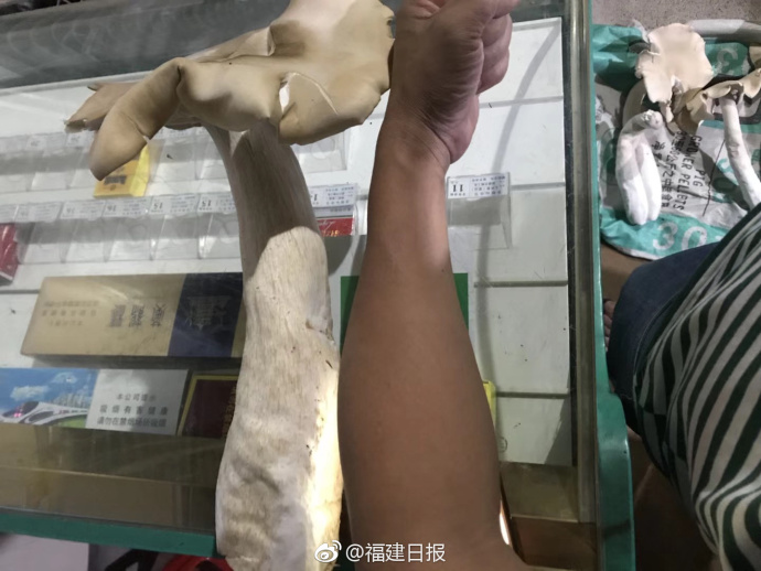 楊冪《快本》上班可愛營業 對粉絲甜笑比心