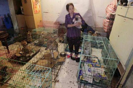 噴別人“洗歌”的酷玩實驗室，你這篇文章洗稿了