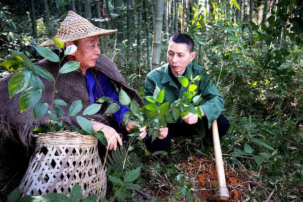 髂脛束不易拉伸 4個方法可緩解其疼痛