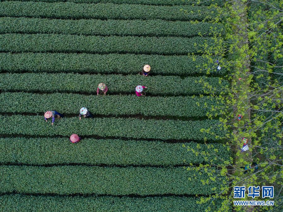 新增3所高校與國外大學合作辦學
