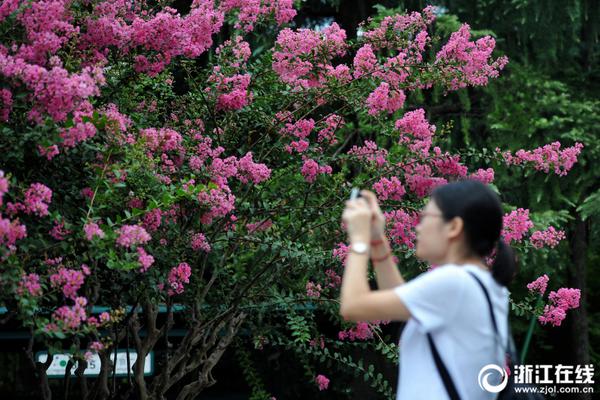 助力世界經(jīng)濟(jì)增長 攜手發(fā)展繁榮之路