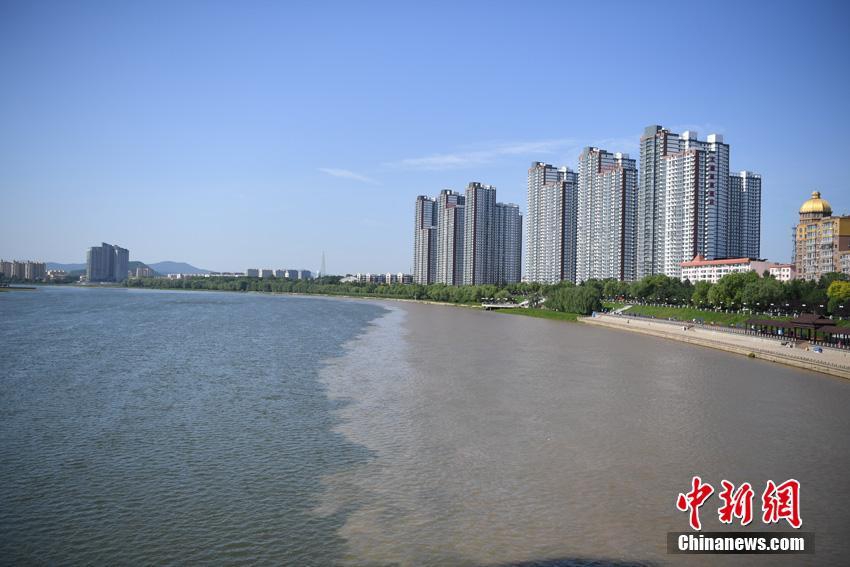 回歸都市：女神的近身兵王