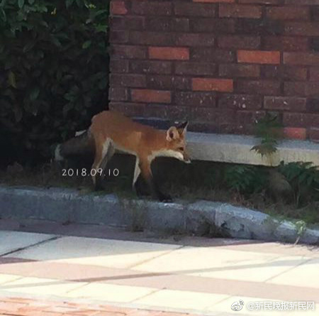 給新車騰路，起亞k3大優惠，1.6l自動版價格低至9萬元！