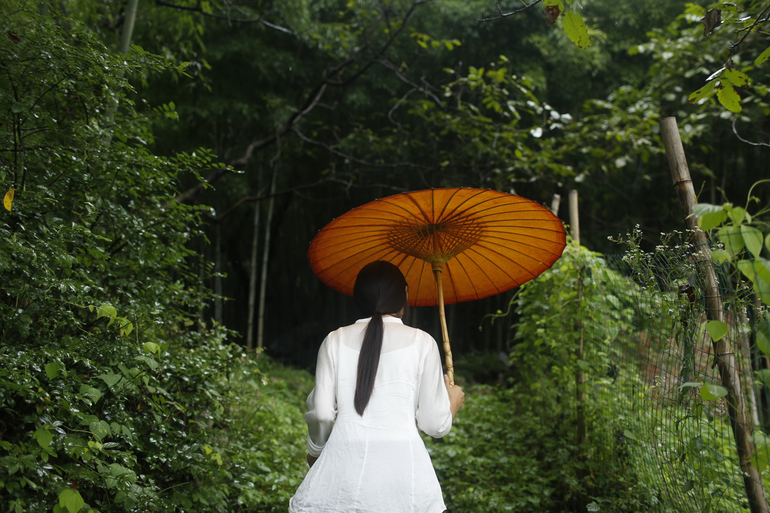 墻面裂縫、掉皮、發霉怎么辦
