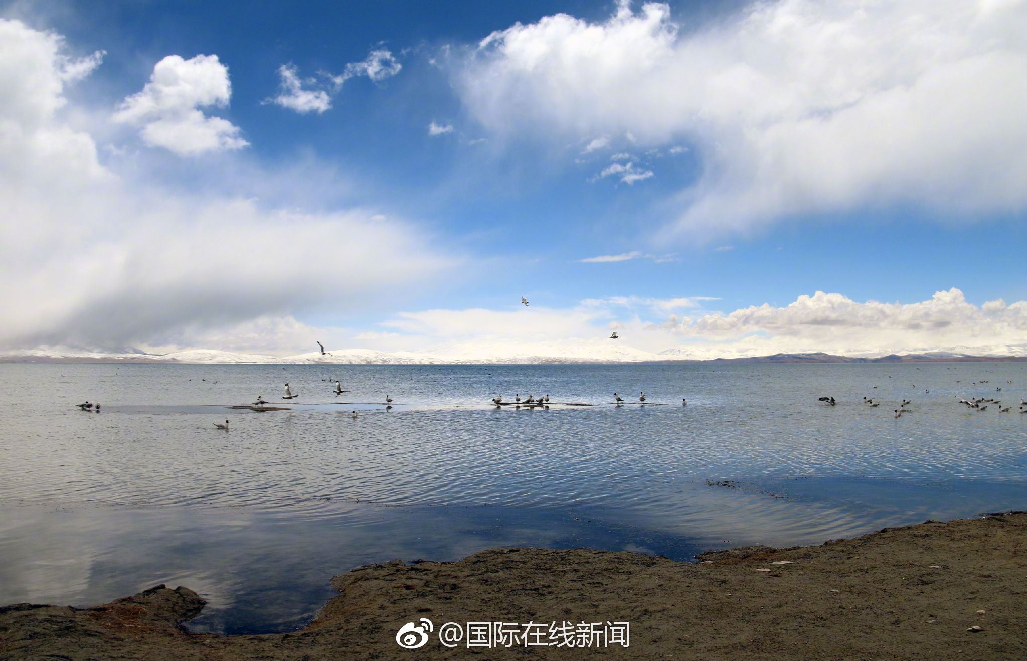 “樂清失聯(lián)男孩”母親一審被判處有期徒刑1年3個月