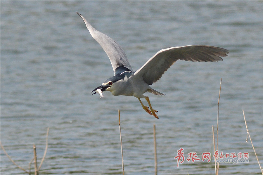 三大通信運(yùn)營(yíng)商布局試驗(yàn)網(wǎng) 5G全面商用還要多久？