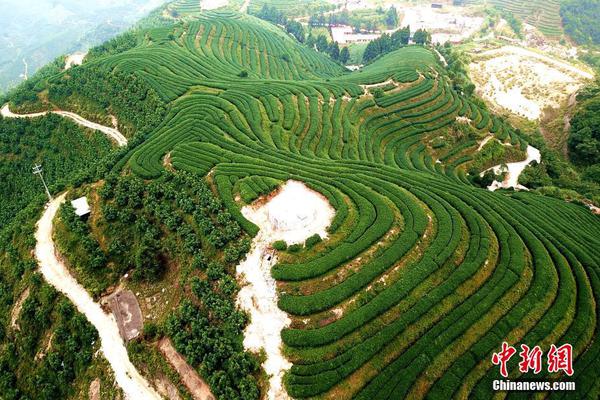 何炅與汪涵一同慶生 楊樂樂：彼此要珍惜啊