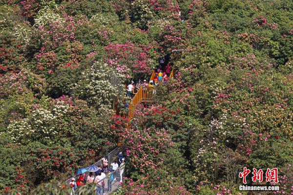 魅族16s評(píng)測(cè)：顏值手感相當(dāng)能打 沒有三攝 雙攝怎么樣？