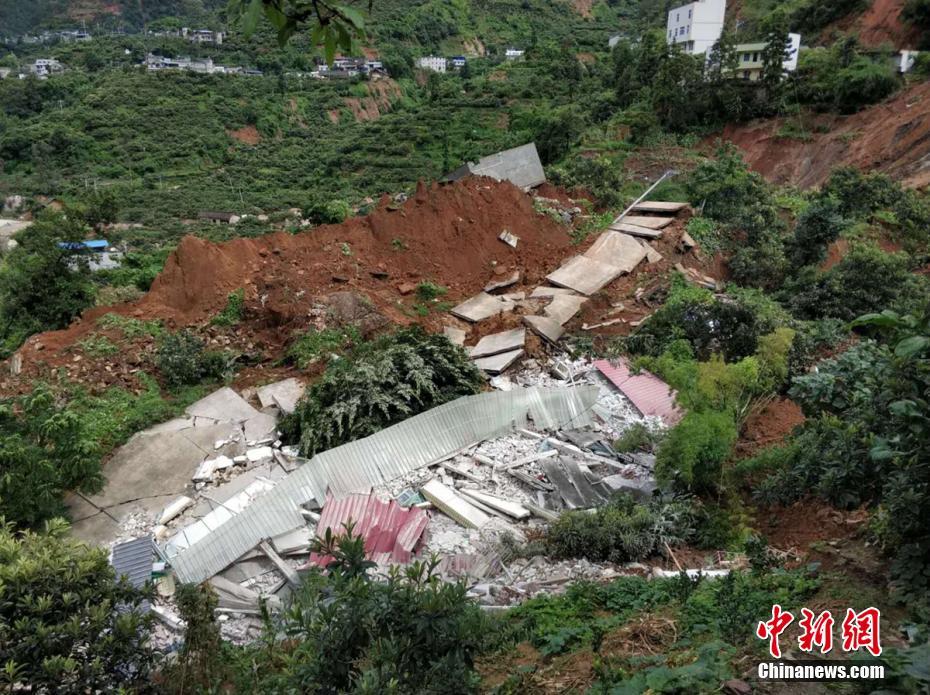 倪妮評價張震黃覺廖凡：一個暖，一個文藝