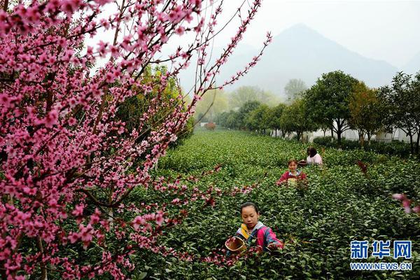 曾志權案開庭:被控受賄1.4億