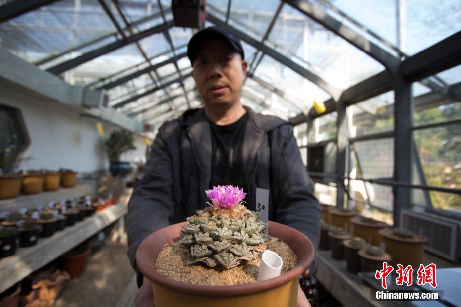變形計：杜華兒子人慫話多