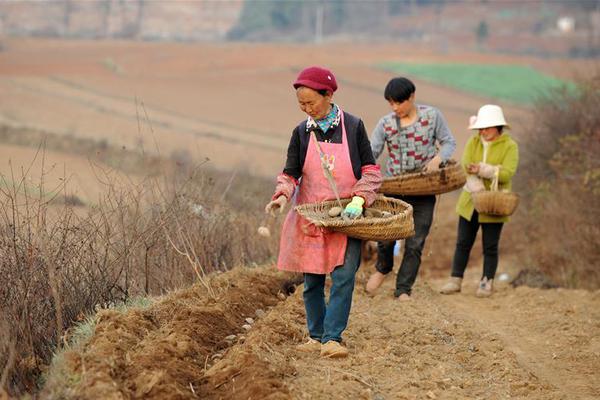 兒子五歲爸爸才發現其非親生，媽媽竟稱不知情……