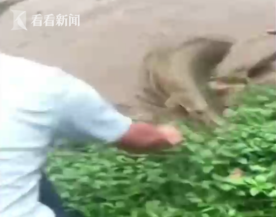 西藏日喀則 領略高原深處的春耕美景