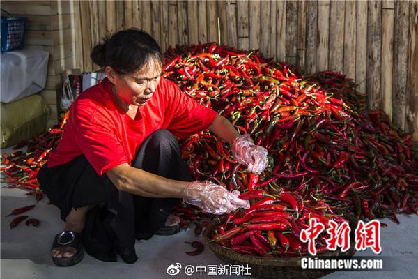 江蘇原副省長(zhǎng)被雙開(kāi):兩會(huì)期間嚴(yán)重破壞會(huì)風(fēng)