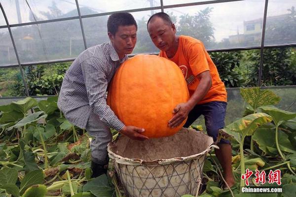 《娛樂早點爆》第205期 明星高糊童年照修復后