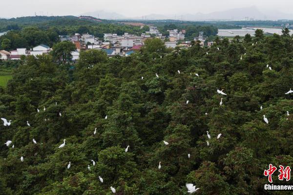 讓世界目光聚焦中國(guó)電信世園會(huì)5G館 未來(lái)世界先睹為快