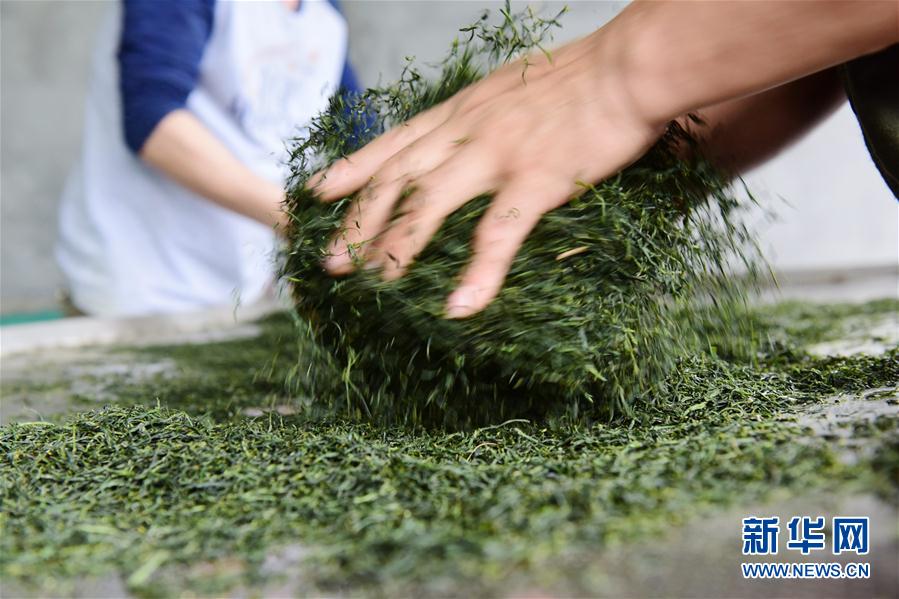 脫歐延期改變英國人度假習慣 非歐盟國家受青睞