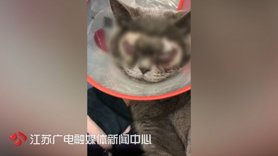 女兒嫁了有錢人，母親去看她，每次都不進家門