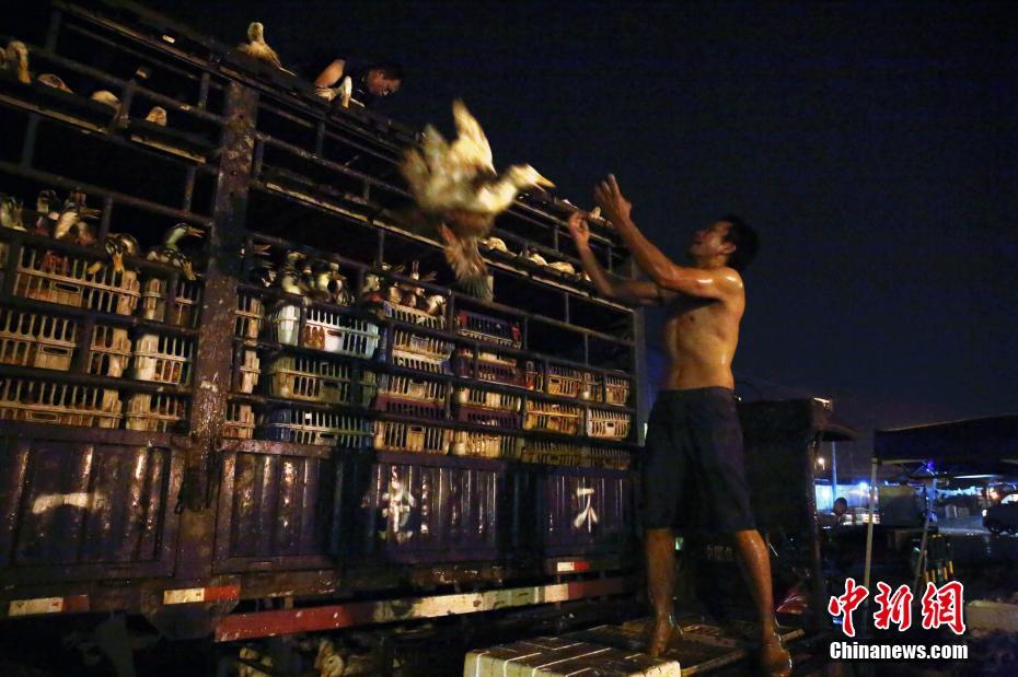 女兒嫁了有錢人，母親去看她，每次都不進家門