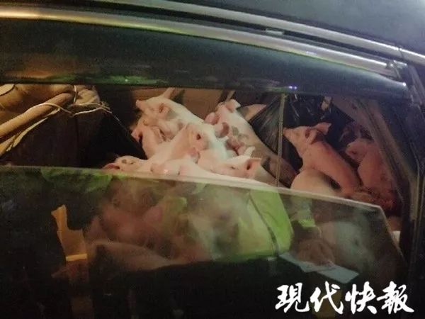 王思聰質(zhì)押大連合興投資157.2萬股股權(quán)