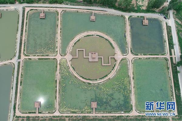 FB一季度營收150.8億美元 凈利24.3億同比下滑51%
