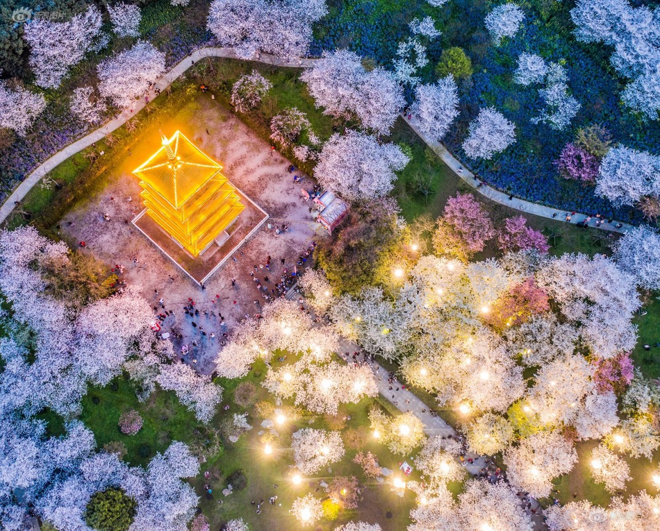 大學(xué)生辦貸款小心這四種陷阱