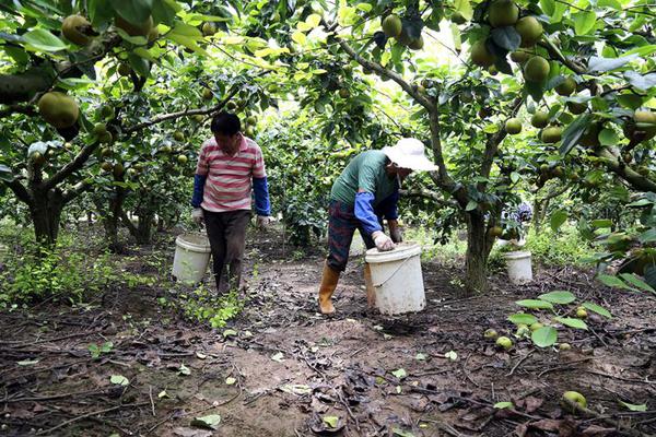 陌陌7.71億美元收購的探探因違規(guī)遭下架 探探回應未披露上架時間