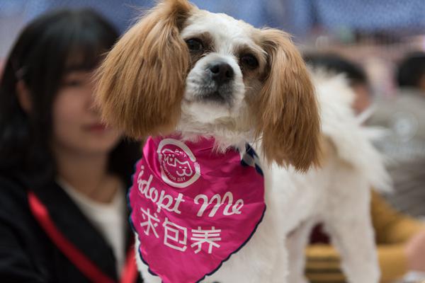 揭秘美名校招生舞弊案:花800萬進耶魯 這名學生這樣做的