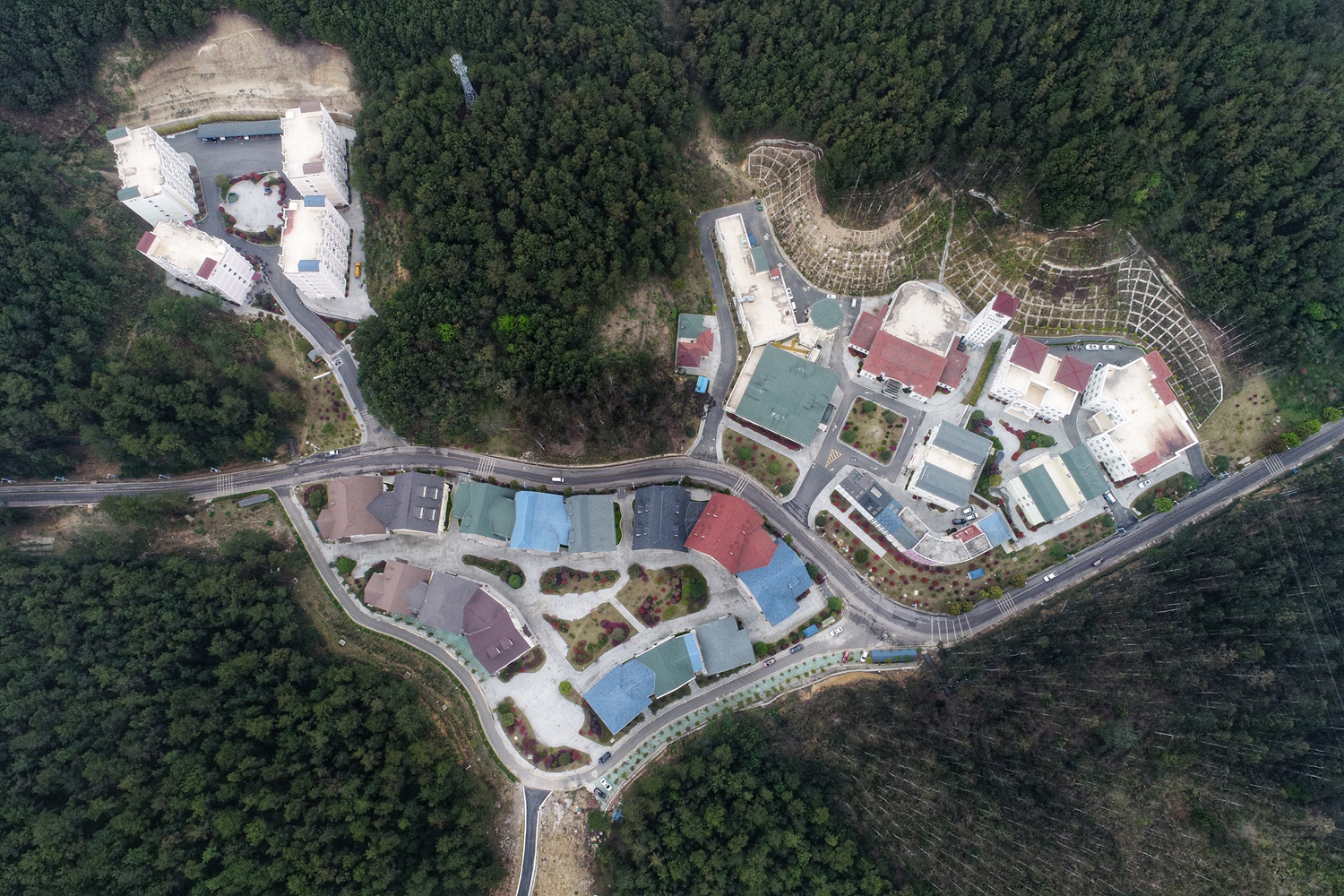 “娃娃音”同框！林志玲與丫頭合影被指認不出