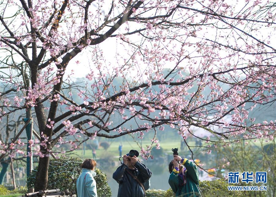 小米高管談5G:功耗高信號差