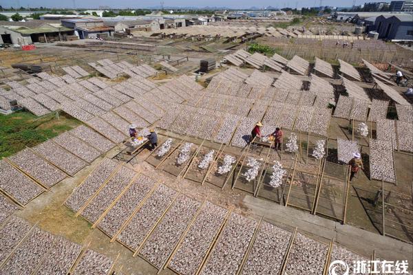 習(xí)近平出席第二屆“一帶一路”高峰論壇紀(jì)實