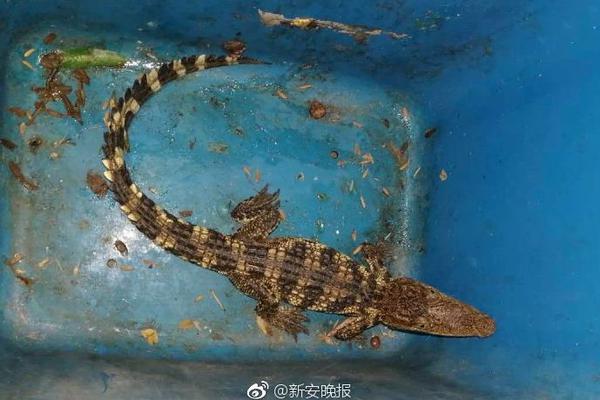 去年全國(guó)兒童青少年近視調(diào)查：總體近視率53.6%