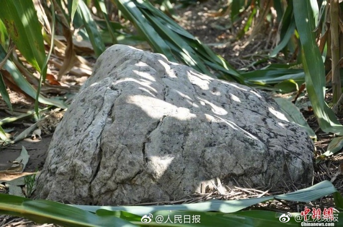 【傳家日歷】黑白分明，才夠酷