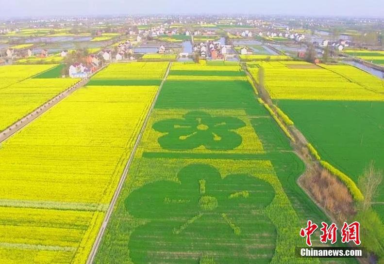 蘇新平同名藝術展：用藝術重構心靈風景和精神家園