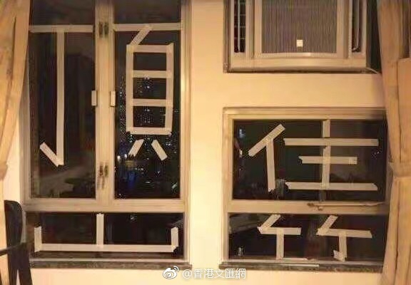 山東青島全國愛鳥周春光中的火烈鳥